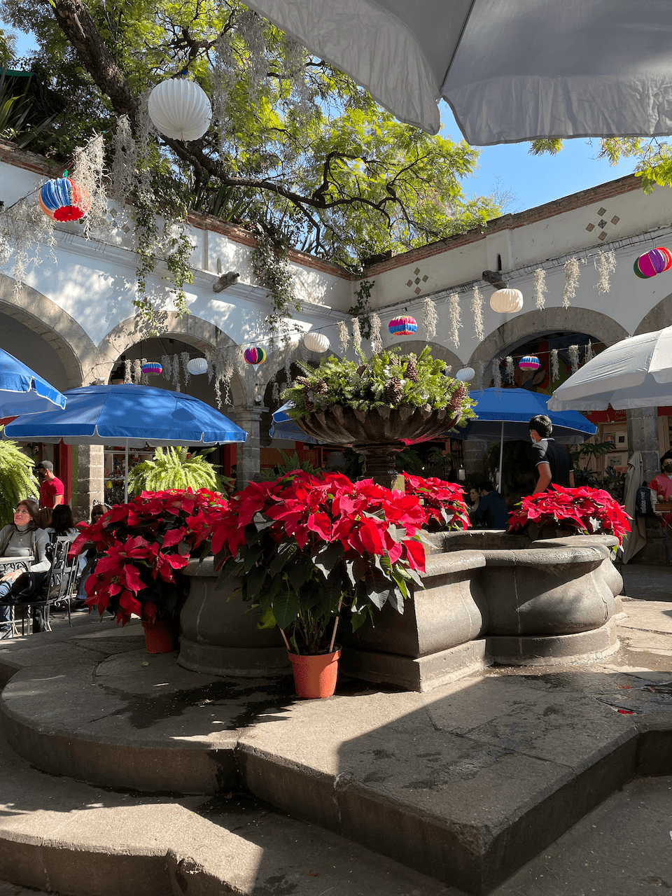 Coyoacán Neighborhood